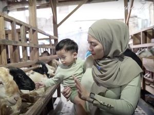 Nathalie Holscher Minta Sule Setop Nafkahi Anak