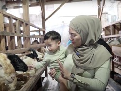 Nathalie Holscher Minta Sule Setop Nafkahi Anak