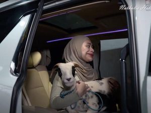 7 Momen Nathalie Holshcer Ajak Kambing Kurban Naik Alphard 7 Momen Nathalie Holshcer Ajak Kambing Kurban Naik Alphard