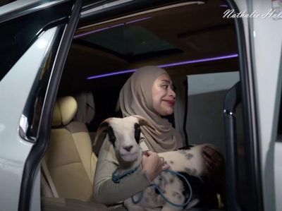 7 Momen Nathalie Holshcer Ajak Kambing Kurban Naik Alphard