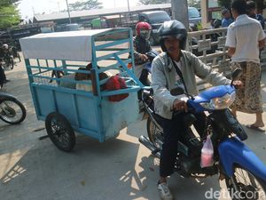Ini Ojek Kambing, Operasinya Antar Kabupaten Ini Ojek Kambing, Operasinya Antar Kabupaten