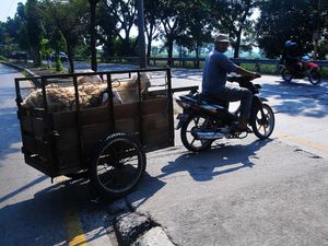 Ojek Kambing Laris Manis Menjelang Idul Adha Ojek Kambing Laris Manis Menjelang Idul Adha