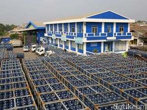 Pangsa Pasar Air Minum Kemasan Lokal Meningkat