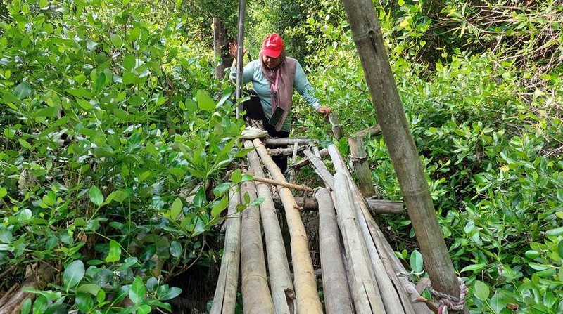 Yuk Bantu Warga Kampung Beting Perbaiki Jembatan Bambu