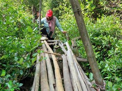 Yuk Bantu Warga Kampung Beting Perbaiki Jembatan Bambu
