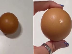 Super Langka! Wanita ini Temukan Telur Bulat Sempurna Super Langka! Wanita ini Temukan Telur Bulat Sempurna