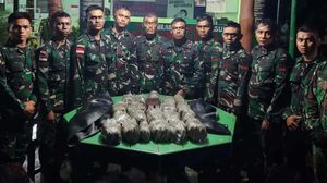 TNI Gagalkan Penyelundupan Ganja di Perbatasan RI-PNG
