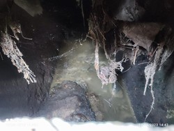 Warga Keluhkan Limbah Kotoran Sapi di Saluran Air Jaksel, Harap Ada Solusi