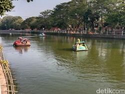 Wisata Murah di Indramayu, Bisa Gowes Bebek Keliling Sungai Cimanuk