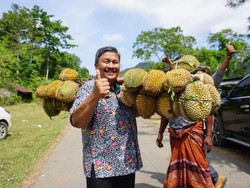 Kementan Minta Sumber Daya Genetik Durian Mieh di Aceh Dilindungi