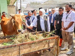 Gubernur Khofifah Minta Penyembelihan Hewan Kurban Berprinsip Animal Welfare