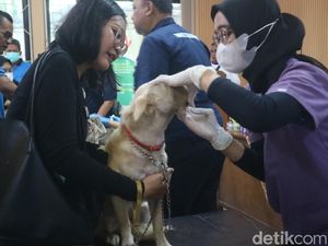 Catat! Begini Cara Penanganan Jika Digigit Hewan Pembawa Rabies Catat! Begini Cara Penanganan Jika Digigit Hewan Pembawa Rabies