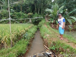 Mata Air yang Tak Pernah Kering di Ciamis dan Larangan Menangkap Kura-kura