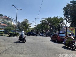 Viral Video Sapi Berkeliaran di Jalan Raya Disebut Macetkan Wiyung
