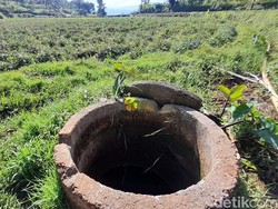 Melihat Lebih Dekat Situ Citali, Tempat Lahirnya Ubi Cilembu