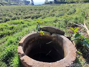 Melihat Lebih Dekat Situ Citali, Tempat Lahirnya Ubi Cilembu Melihat Lebih Dekat Situ Citali, Tempat Lahirnya Ubi Cilembu