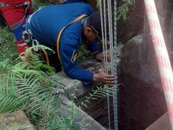 Kucing Tercebur Sumur di Bolali Klaten, Damkar Evakuasi Pakai Tabung Oksigen