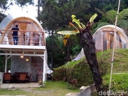 Camping Asyik di Lereng Gunung Ciremai