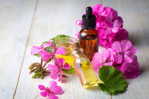 Geranium Essential Oils /Foto: vedaoils.com