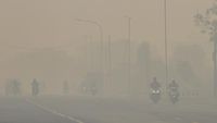 Kabut Asap Karhutla Selimuti Banjarbaru Kalimantan Selatan