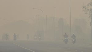 Kabut Asap Karhutla Selimuti Banjarbaru Kalimantan Selatan