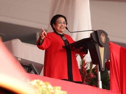 Megawati Akan Resmikan Wisata Anyar Kebun Raya Mangrove Surabaya