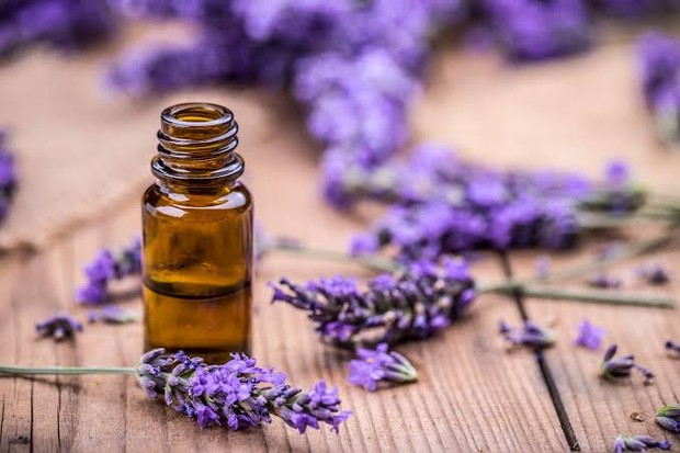 Lavender Essential Oils /Foto: 100percentpure.com