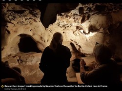 Arkeolog Perkirakan Neanderthal Sudah Ciptakan Seni 57 Ribu Tahun Lalu