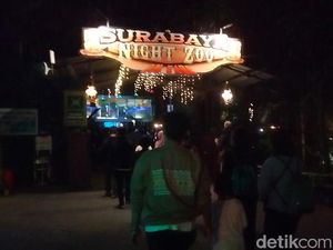 Resmi Dibuka, Surabaya Night Zoo Langsung Diserbu Pengunjung Resmi Dibuka, Surabaya Night Zoo Langsung Diserbu Pengunjung