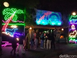 Warga Antusias Serbu Pembukaan Surabaya Night Zoo