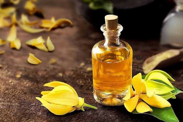 Ylang-Ylang Essential Oils /Foto: naturalnicheperfume.com