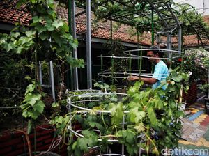 Asri dan Sejuknya MTS Jakarta Pusat