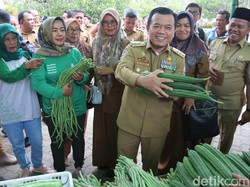 Gubernur Jambi Launching Gerakan Pangan Murah, Stabilkan Harga Jelang Idul Adha