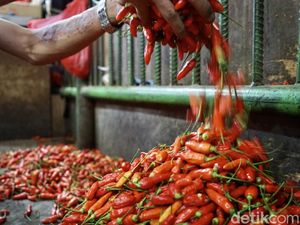 Pedagang Pasar Ungkap Biang Kerok Harga Cabai Melejit hingga Rp 130 Ribu/Kg Pedagang Pasar Ungkap Biang Kerok Harga Cabai Melejit hingga Rp 130 Ribu/Kg