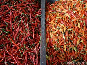 Harga Cabai Masih Mahal Rp 100.000/Kg di H-6 Lebaran Harga Cabai Masih Mahal Rp 100.000/Kg di H-6 Lebaran