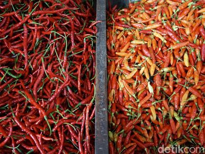 Harga Cabai Rawit Makin Pedas Jelang Idul Adha, Tembus Rp 50 Ribu per Kg