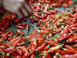 Harga Sembako Jogja Hari Ini 23 Juli 2024: Cabai Rawit Merah Naik Gila-gilaan