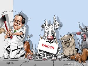 Lubang Menganga Menumpas Anjing Gila