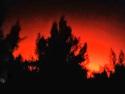 Hutan dan Lahan di Kawasan Ijen Bondowoso Terbakar