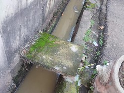 Ini Kondisi Got Permukiman yang Tercemar Limbah Kotoran Sapi di Pancoran