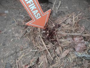 Tega! Paman Tebas Leher Keponakan Hingga Tewas Tega! Paman Tebas Leher Keponakan Hingga Tewas