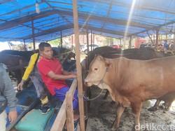 Pedagang Hewan Kurban Berdatangan ke Semarang, Pemkot: Wajib Lapor Lurah