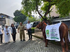 Penyaluran Ratusan Hewan Kurban Sambut Idul Adha 1444 H