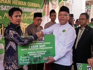 PPP Salurkan Hewan Kurban ke Ormas, Pondok Pesantren, dan Yayasan