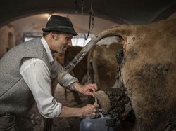 Seniman Ini Ketagihan Melukis Pakai Bahan Alami... Kotoran Sapi