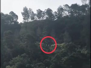 Mobil Wisatawan Masuk Jurang Bromo Berawal Saat Mesin Mati di Tanjakan Mobil Wisatawan Masuk Jurang Bromo Berawal Saat Mesin Mati di Tanjakan