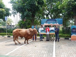 Telkomsel Salurkan 720 Hewan Kurban untuk 46.000 Orang Se-Indonesia