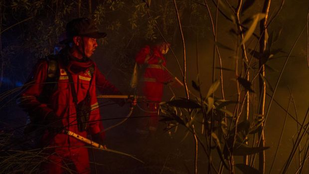 Petugas Manggala Agni Daops Kalimantan VI berusaha memadamkan kebakaran lahan di Kecamatan Liang Anggang, Banjarbaru, Kalimantan Selatan, Minggu (25/6/2023). Petugas Manggala Agni dibantu relawan  berhasil memadamkan kebakaran lahan yang terjadi di daerah tersebut. ANTARA FOTO/Bayu Pratama S