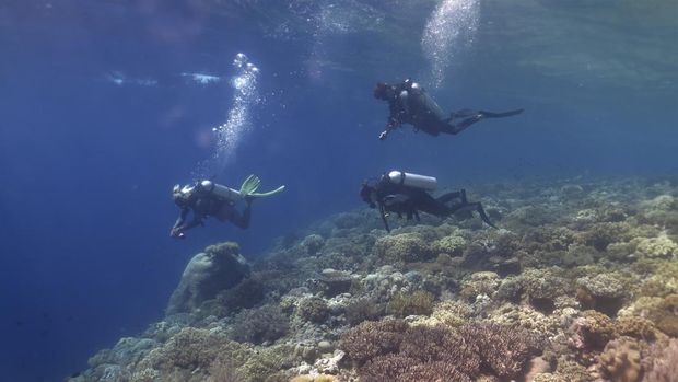 Wisatawan asing didampingi pegiat Wakatobi Dive Trip menyelam di bawah laut spot fan 38 Pulau Tomia, Wakatobi, Sulawesi Tenggara, Kamis (18/5/2023). Menurut Dinas Pariwisata Sulawesi Tenggara kunjungan wisatawan mancanegara ke Wakatobi mulai mengalami peningkatan dalam beberapa bulan terakhir sejak akses transportasi udara kembali di buka. ANTARA FOTO/Jojon/tom.