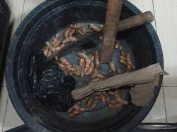 Tetangga Meregang Nyawa Sebab Ambil Kunyit Pak RW di Pekarangan Rumah